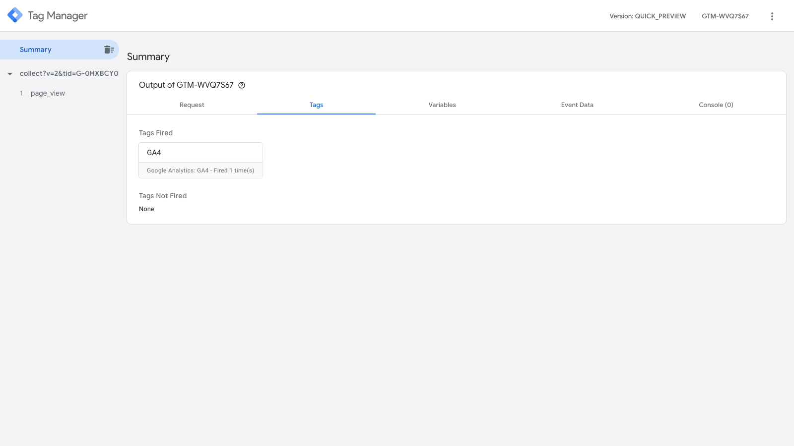 Google Tag Manager Page View