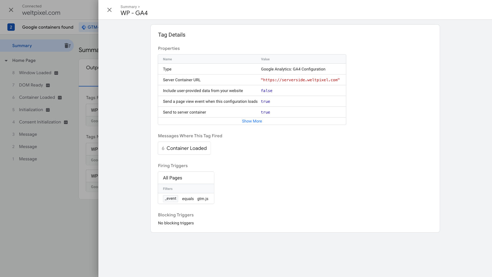 Google Tag Manager Tag Assistant Tag Details