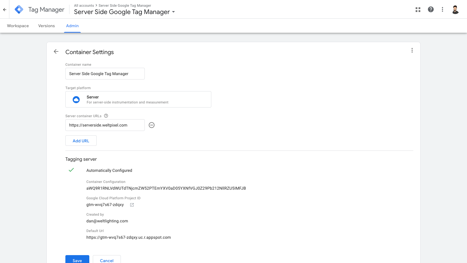 Server-Side Google Tag Manager Domain